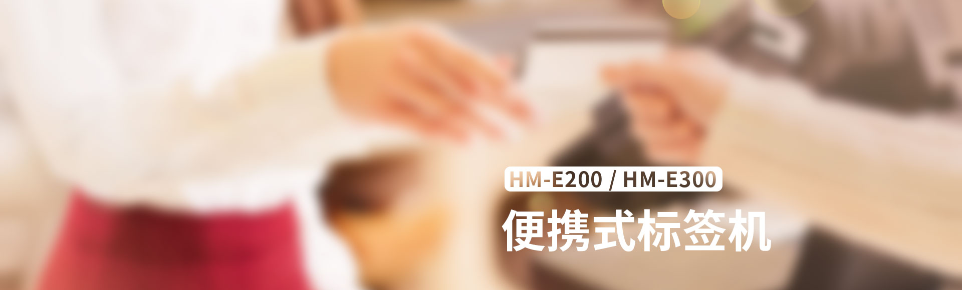 HM-E200改_01.jpg HM-E200/E300