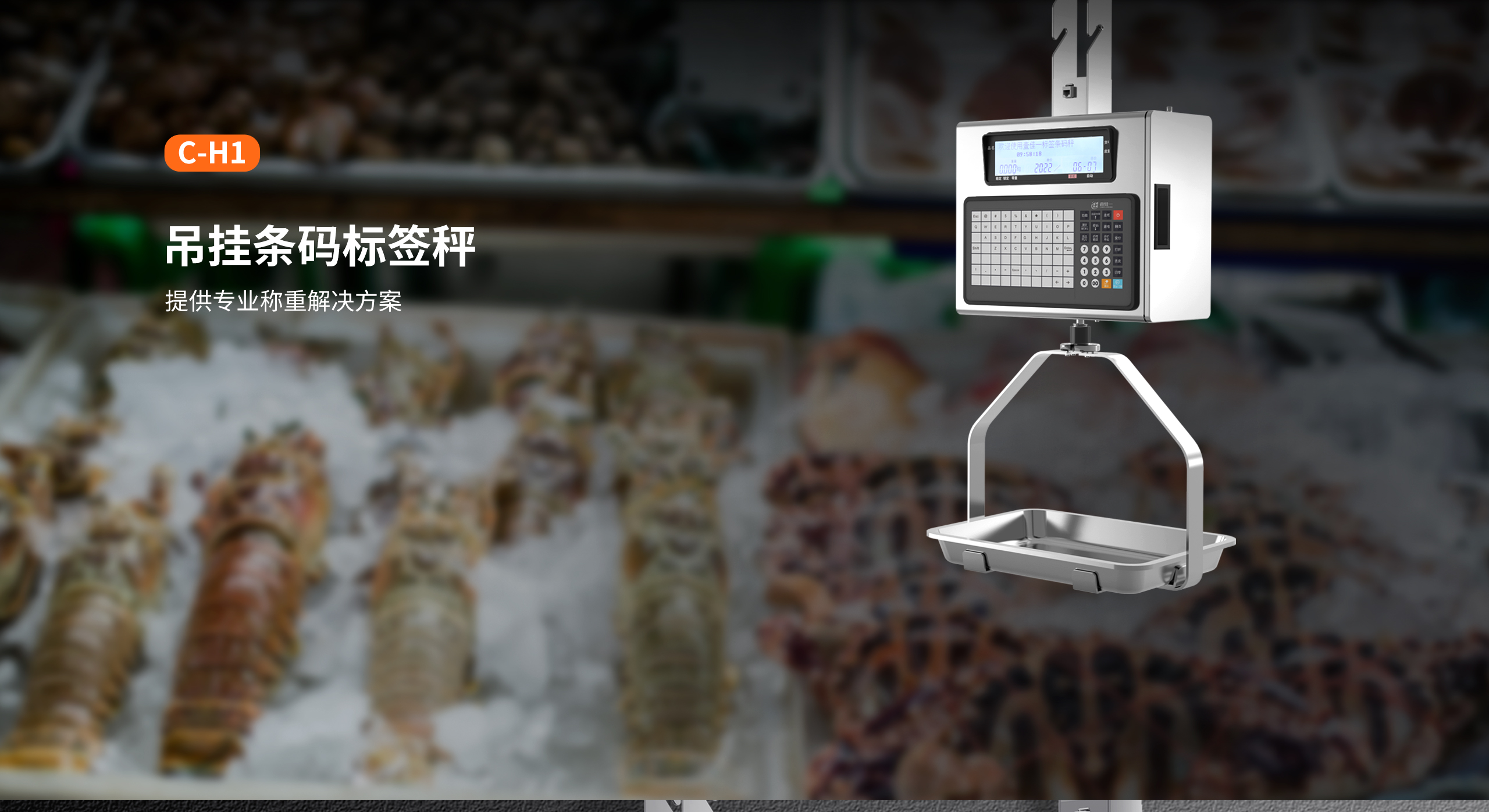 吊挂条码标签秤.jpg C-H1